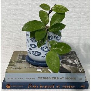 EVIL EYE Stoneware Planter Pot Blue Drainage Hole Saucer